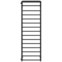 Water heated towel rail Lux Hotel P15 500х1600 Deffi stainless steel (Black, Side left connection)